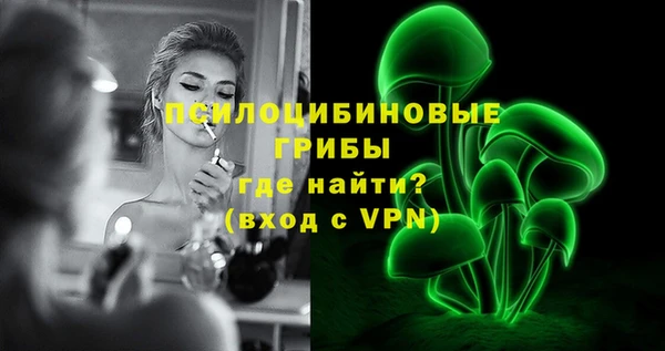 PSILOCYBIN Белокуриха