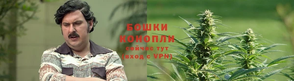 метадон Сафоново