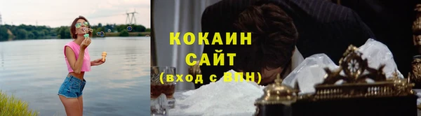 PSILOCYBIN Белокуриха