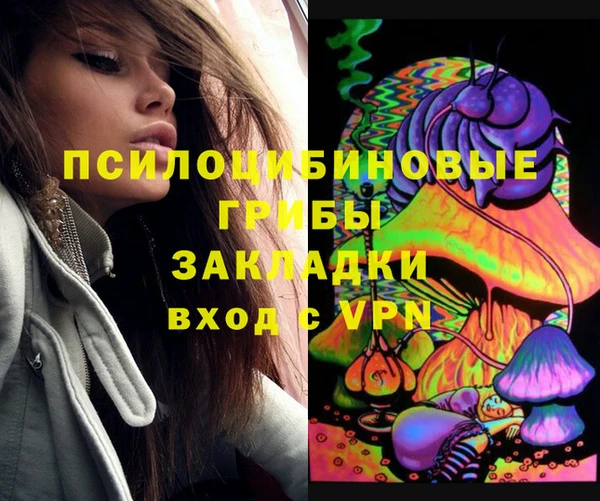 PSILOCYBIN Белокуриха