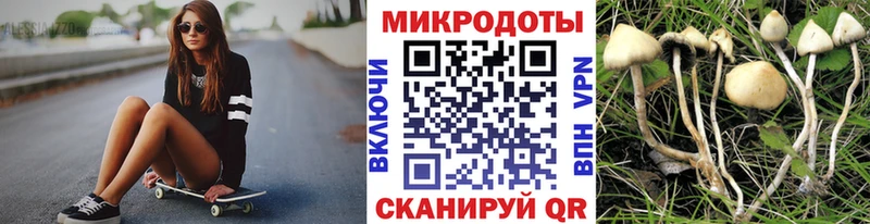 Галлюциногенные грибы ЛСД  Мариинский Посад 