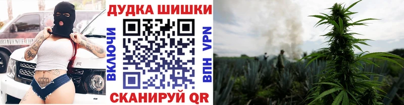 Бошки Шишки ГИДРОПОН  Мариинский Посад 